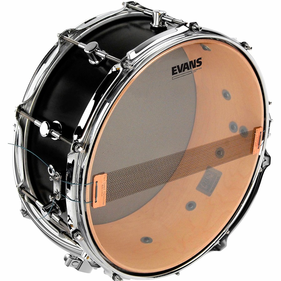 Drums Evans | Evans 300 Snare Side Drum Head 14 In.