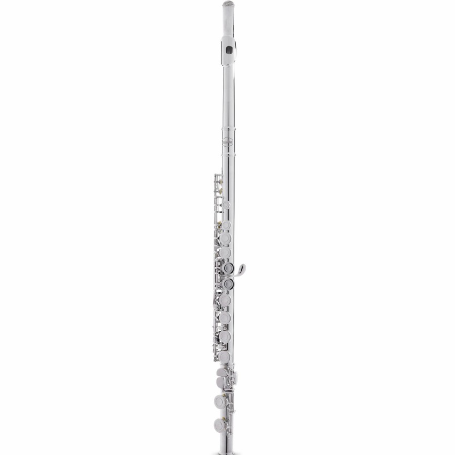 Band & Orchestra Allora | Allora Afl-250 Student Series Flute Offset G C-Foot