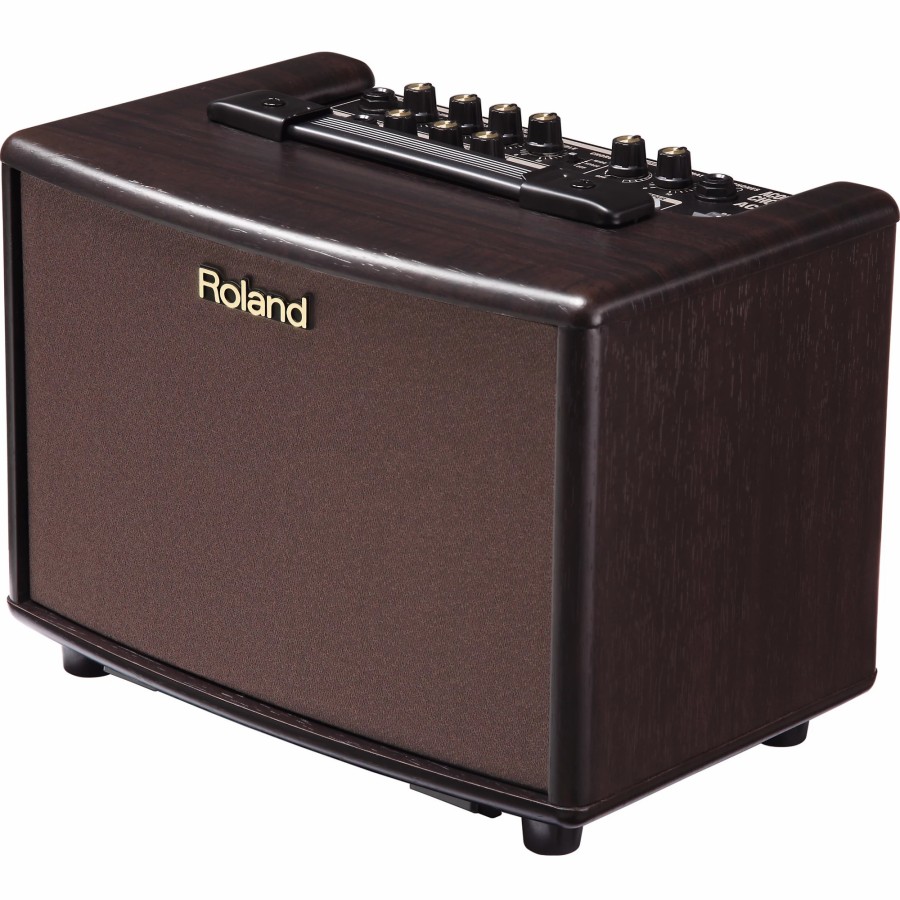 Amps & Effects Roland Acoustic Combo Guitar Amps | Roland Ac-33Rw 30W 2X5 Acoustic Combo Amp Rosewood