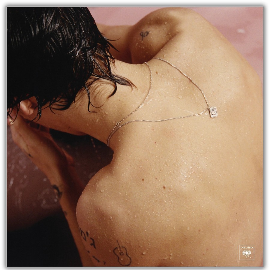 Accessories Sony | Harry Styles Lp