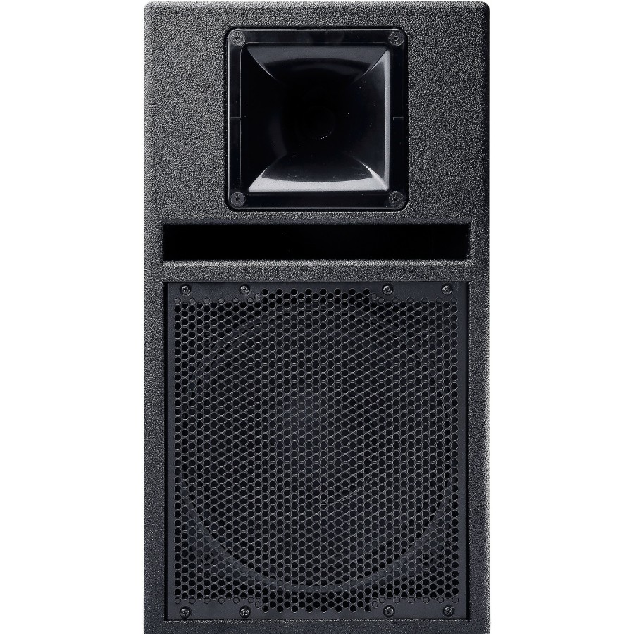 Live Sound BASSBOSS | Bassboss Sv9 Powered Monitor 9 In.