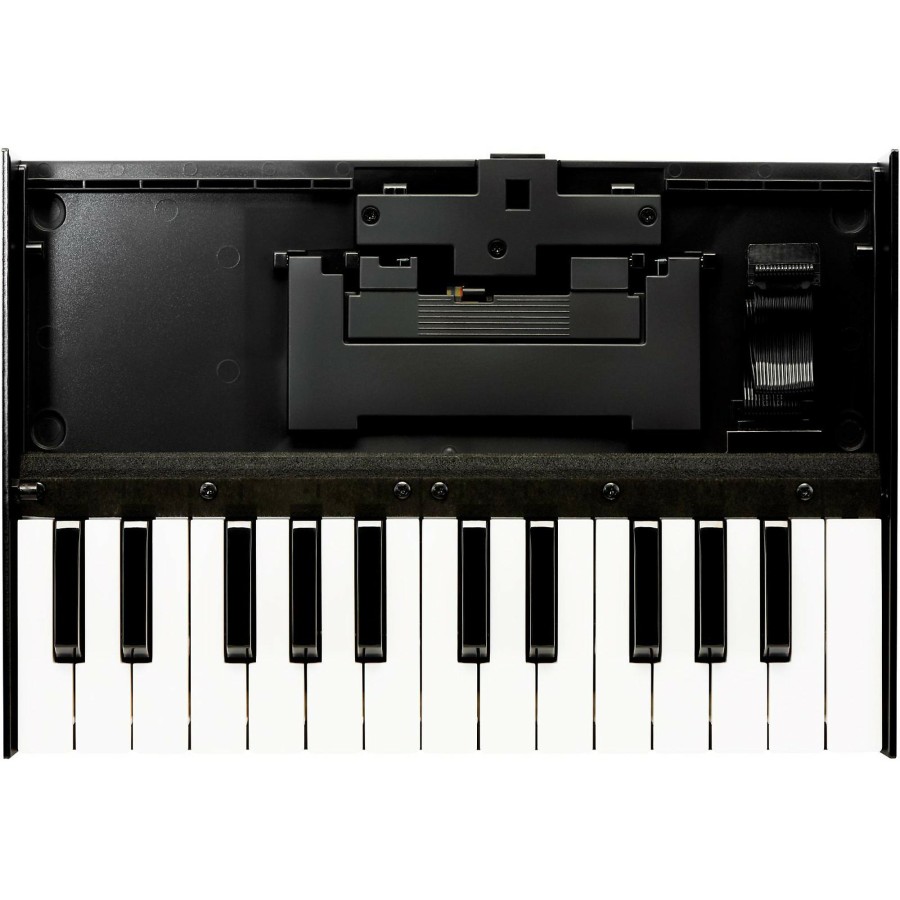 Keyboards & Midi Roland Midi Controllers | Roland K-25M Boutique Keyboard Unit