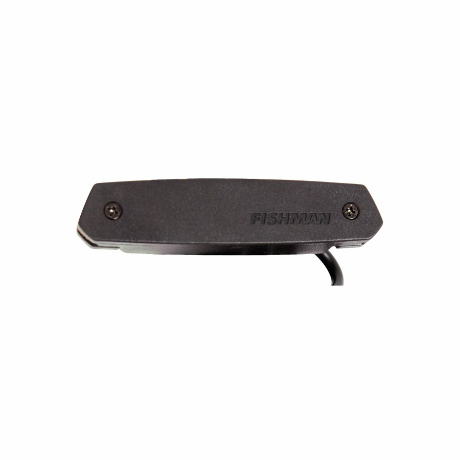 Basses Fishman Fretted Instrument Accessories & Parts | Fishman Pro-Neo-D01 Magnetic Soundhole Pickup